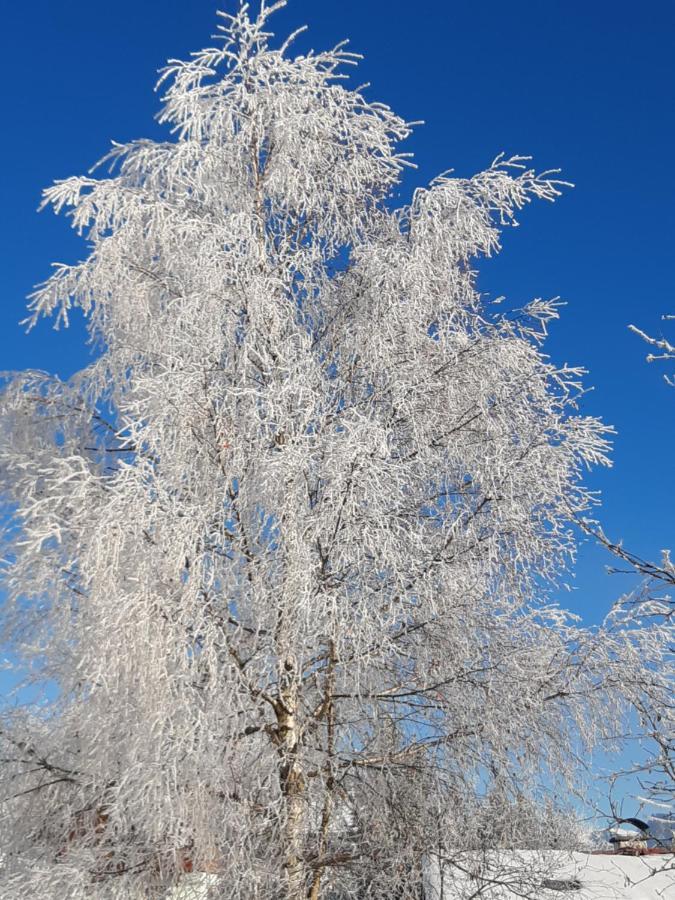 Alpenheim